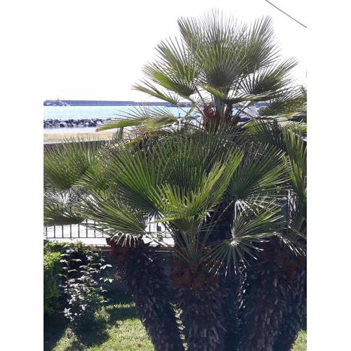 Al giardino Sant'Anna