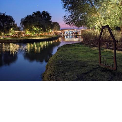 Al Marmoom Oasis “Luxury Camping & Bedouin Experience”
