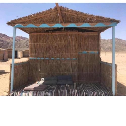 Al Wady Camp