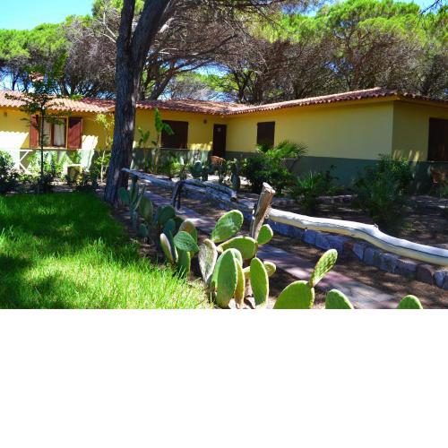 Ala Birdi Cottage 150MT From The Beach Apartments - Happy Rentals
