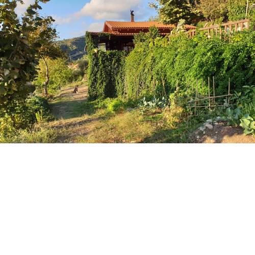 Alagonia Country Homes