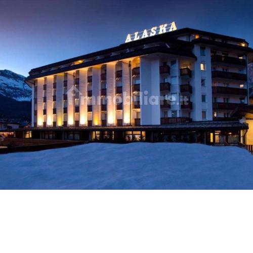 Alaska Cortina