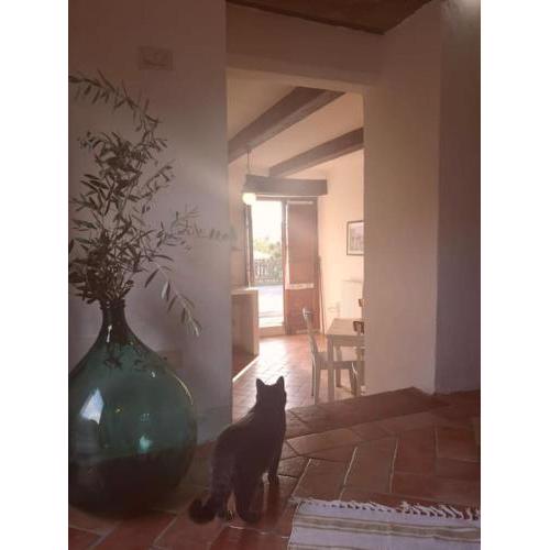 ALBA MORUS APPARTAMENTO INDIPENDENTE