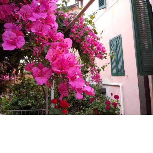 Albergo Italia