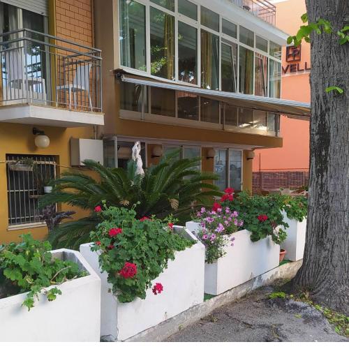 albergo Majorca