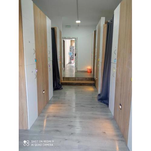Albergue Alecer