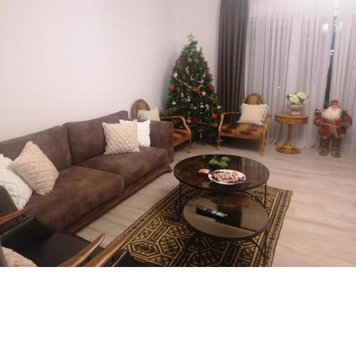 Albina's luxury Villa