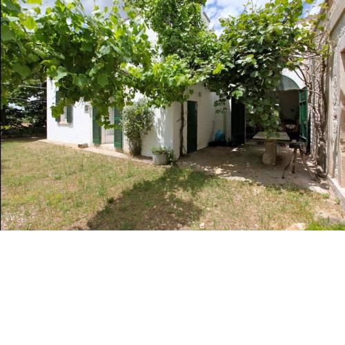 Albireo Puglia