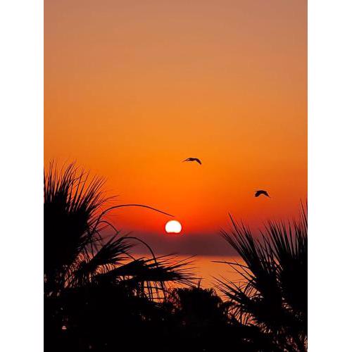 Alex Beach Apartment 32