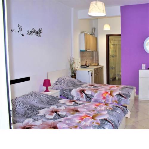 Alex studios