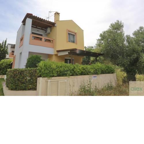 Alex Summer House