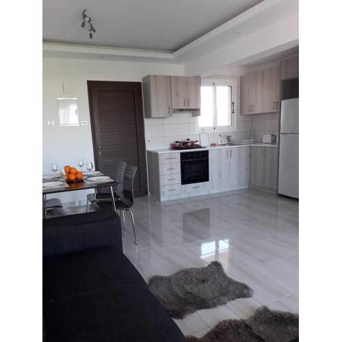 ALEXANDER 1 brd apartment