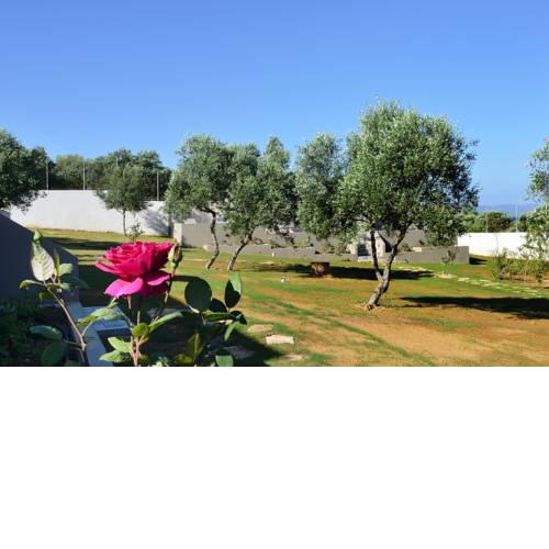 Alexandra's Garden Houses