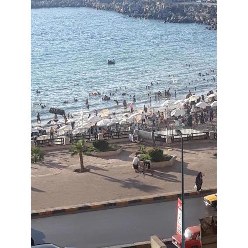 Alexandria sea view