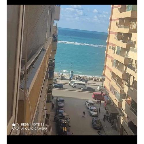 Alexandria