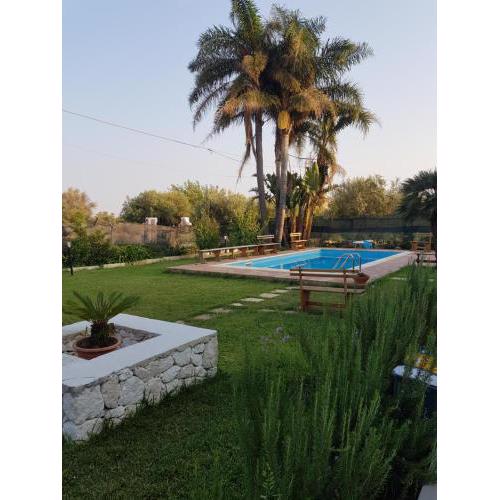 Alexsander Garden