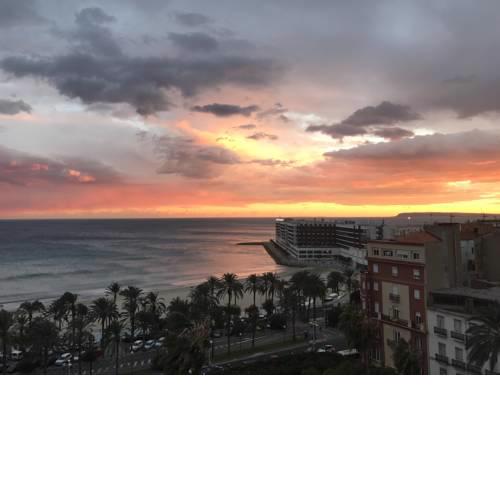 Alicante loft