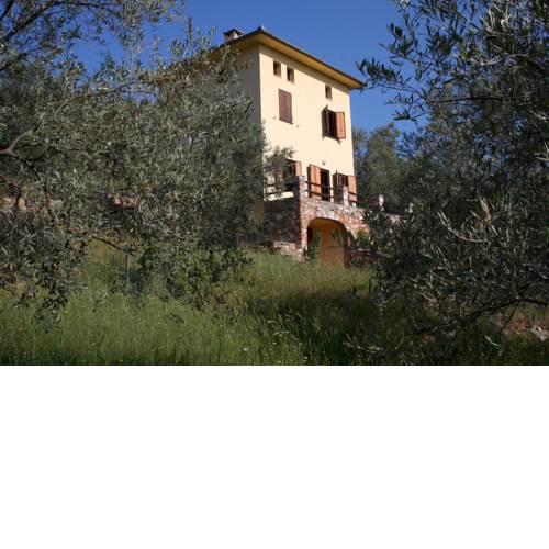ALIKI