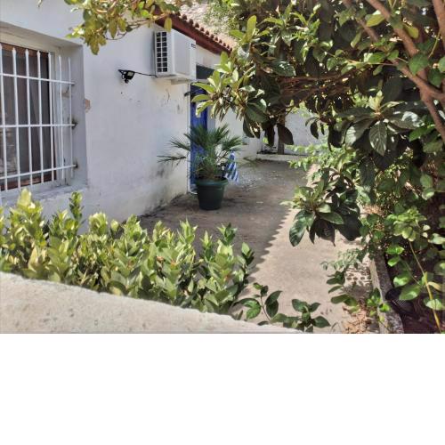 Aliki's Cottage