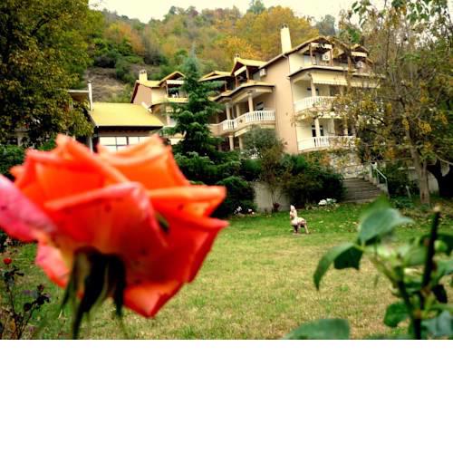 Alkyonis Hotel & Spa