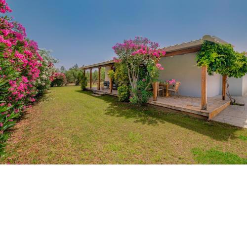 Allegra Villa