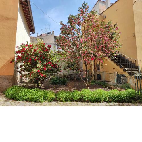 Alloggio Il Giardino delle Camelie