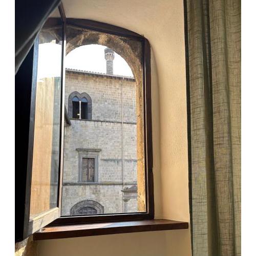 All’ombra del museo