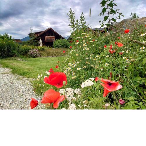 Alm Chalet Grosseck