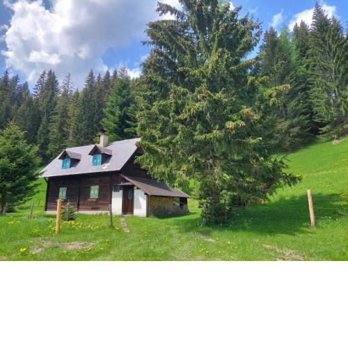 Almzeithütte am Seeberg