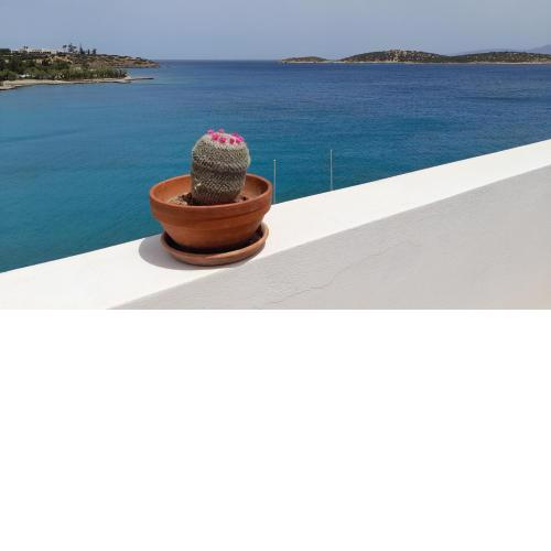 Aloe Seafront Terrace