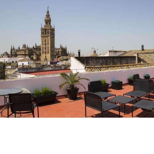 AlohaMundi Catedral