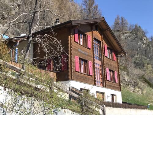 Alpamayo
