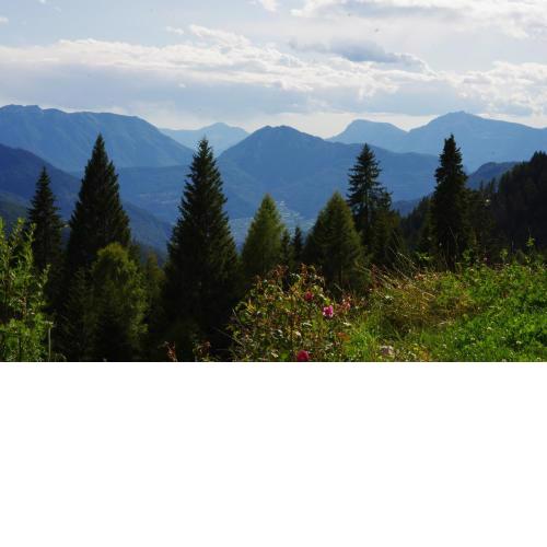 Alpenchalet Waldl - la Lepre