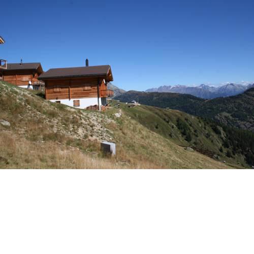 Alpenlodge