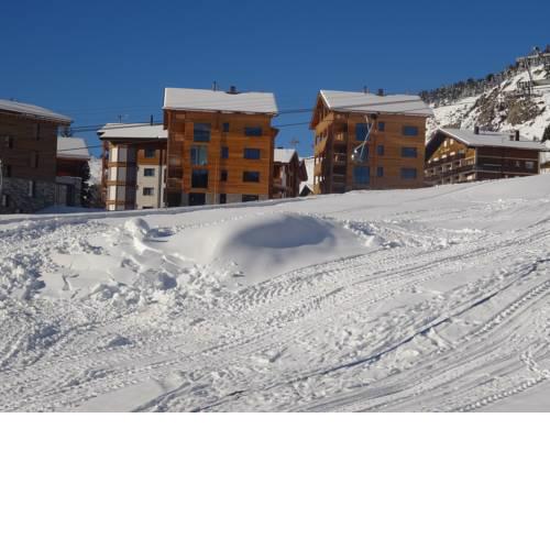 Alpenresort B22