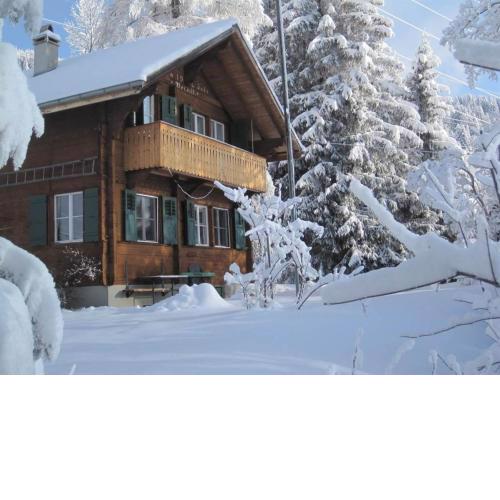 Alpidyll Traditionelles 4 -Zimmer-Einzelchalet