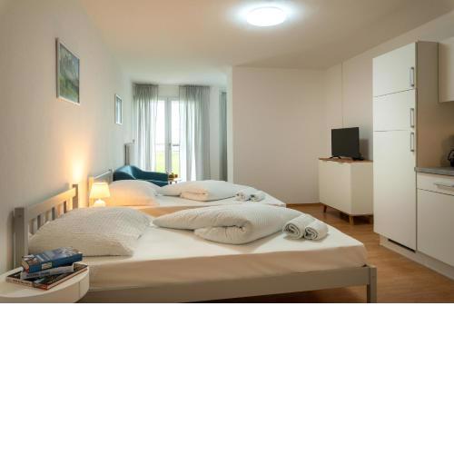 Alpine Hostel A3