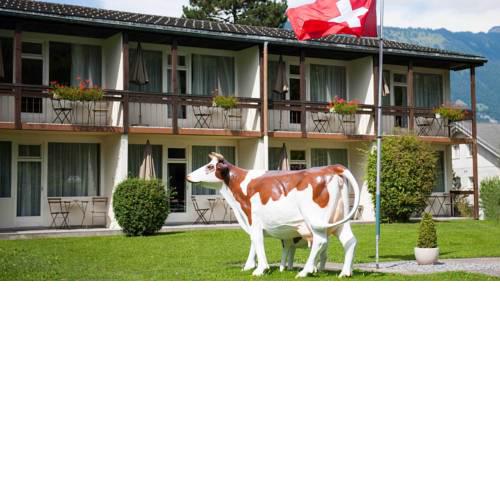 Alpine-Inn by Jungfrau Hotel