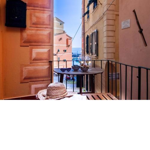 ALPORTO58