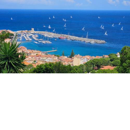 Alta Marina