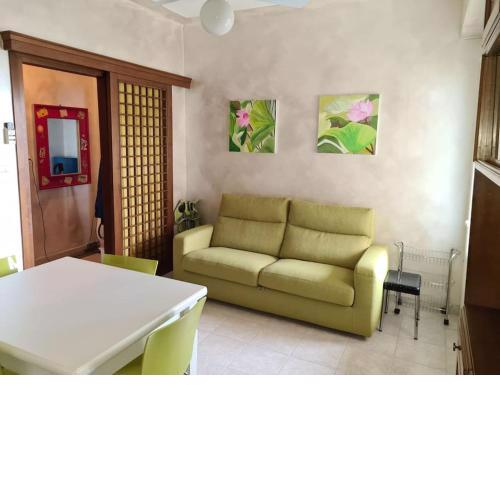 Aly house
