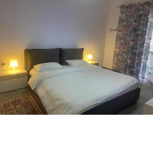 Amadeus apartament
