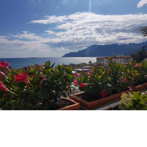 Amalfi Coast View