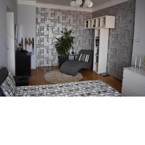 amazing apartment in city center for great price