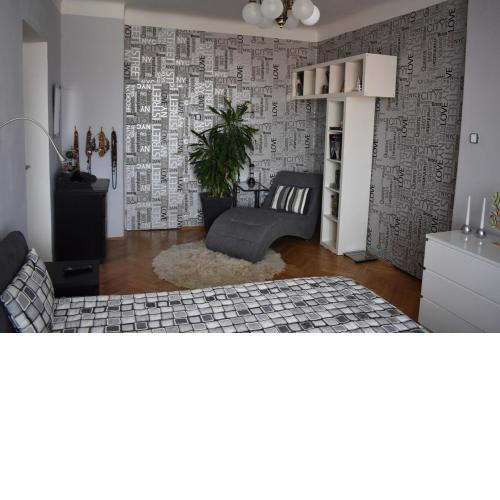 amazing apartment in city center for great price