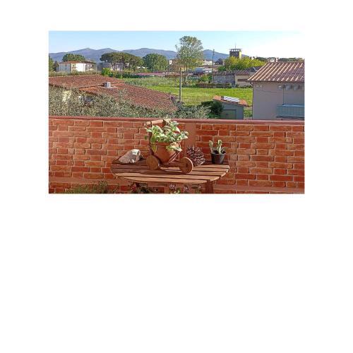 Amazing apartment in Lucca with WiFi and 1 Bedrooms