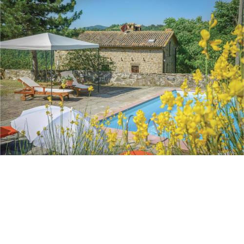 Amazing home in Apecchio -PU- with 5 Bedrooms, WiFi and Private swimming pool