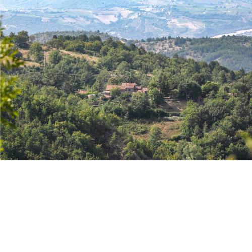 Amazing home in Seggiano with 1 Bedrooms