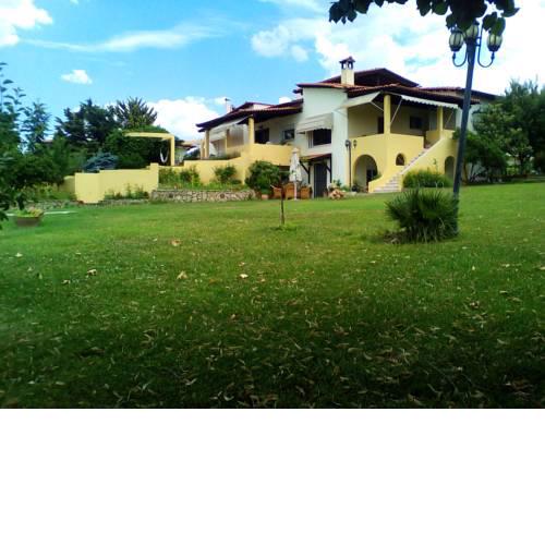 Amazing villa