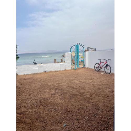 American House Dahab